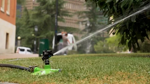 Maintenance of the automatic irrigation system on the lawn of a street park. Vídeos de archivo 201859388