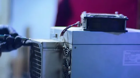 Maintenance on Cryptocurrency Mining Hardware. Technical repair, hardware 스톡 동영상 321813856