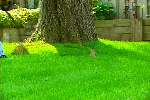  Maintenance 動画素材 87810