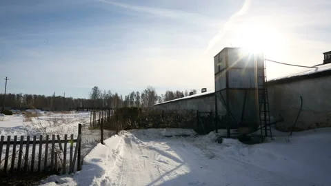 Maintenance of geese in winter in open space. Bird farm. Stock Footage 118245810