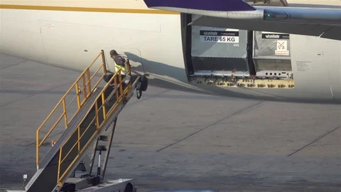 Maintenance worker Enter back of the plae for unloading luggage Stock Footage 119491494
