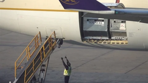 Maintenance worker Prepares unloading luggage from aircraft on arrival Stock Footage 119490287