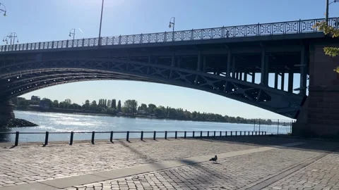 Mainz, Germany 10 August 2026 selective focus bridge crossing the rhine wat.. Stock Footage 344801874