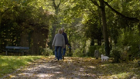 Mainz Hartenbergpark   Stock Footage 124638887