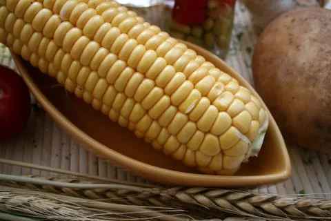 Maiskolben Stock Photos