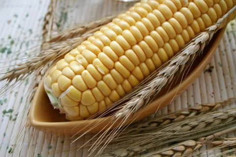 Maiskolben Stock Photos