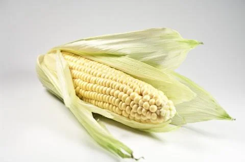 Maiskolben Stock Photos