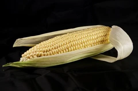 Maiskolben Stock Photos