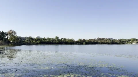 Maitland, FL USA - November 20 2025: Lake Destiny Shoreline in Maitland Florida Stock Footage 321492004