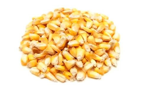 Maiz chulpe Stock Photos