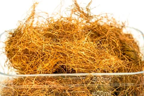 Maize beard tea Stock Photos