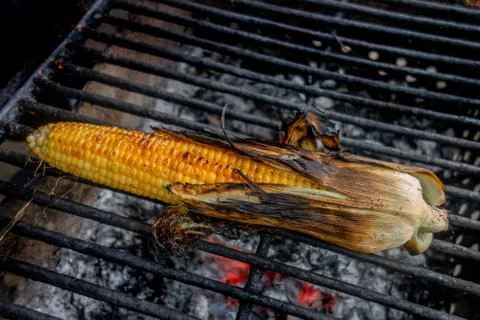 Maize cob grill. Corn vegetables are fried or baked on open fire. Barbecue ki 스톡 사진