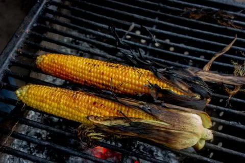 Maize cobs grill. Corn vegetables are fried or baked on open fire. Barbecue k Stock-Fotos