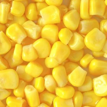 Maize corn Stock Photos