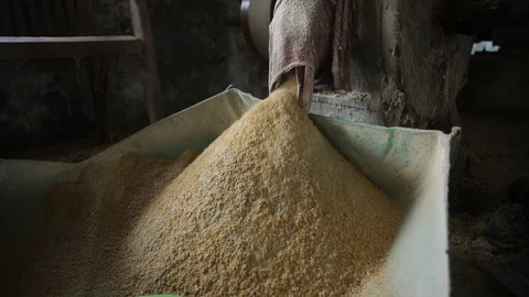 Maize-grinding-machine-cattle-feed-3 Video stock 120395968