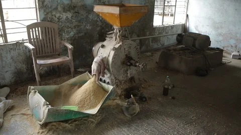 Maize-grinding-machine-cattle-feed Stock Footage 120395994