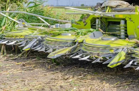 Maize header or mower attachment from a maize chopper Stock Photos
