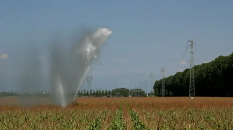Maize irrigation Stock Footage 27456503