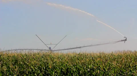 Maize irrigation Stock Footage 27865911