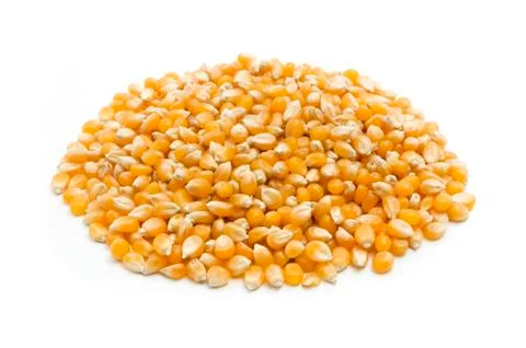 Maize kernels Stock Photos