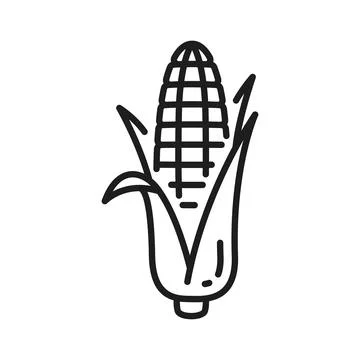 Maize with leaves isolated corncob corn cob icon Stock Illustration