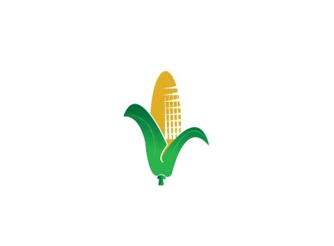 Maize with leaves to make corn for logo design Stock Illustration