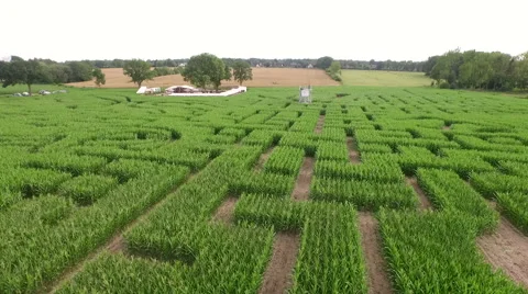 Maize Maze Aerial View Vidéo 64127444