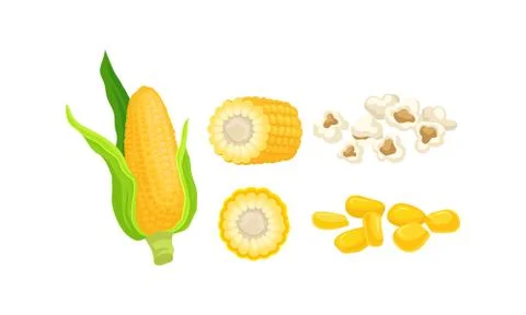 Maize or Corn as Cereal Grain with Yellow Kernels or Seeds Vector Set Illustrazione stock