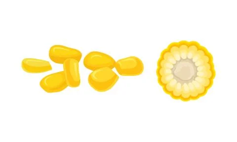 Maize or Corn as Cereal Grain with Yellow Kernels or Seeds Vector Set Illustrazione stock