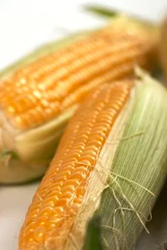 Maize Stock Photos