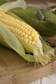 Maize Stock Photos