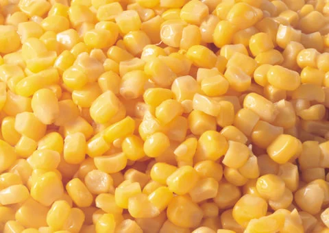 Maize Stock Photos