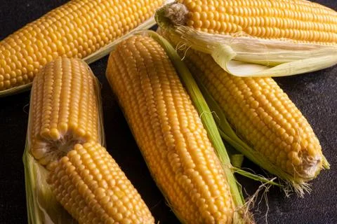 Maize Stock Photos