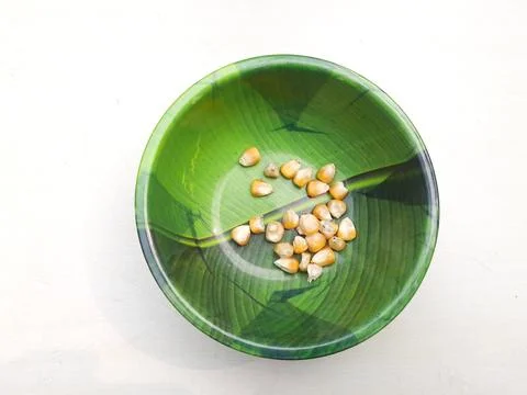The Maize seed also called popcorn Stock Photos