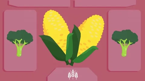 Maize - Vector Graphics - Food Animation - pink Stock Footage 61270206