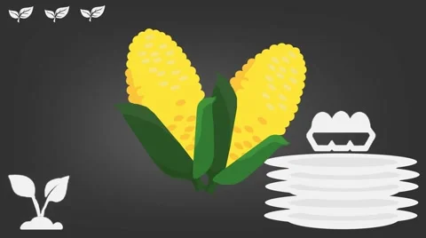 Maize - Vector Graphics - Food Animation - white plates Stock Footage 61270207