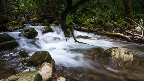 Majaceite River El Bosque Cadiz Spain Time-Lapse Stock Footage 90493992
