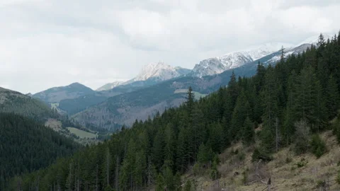Majestic alpine mountain range with evergreen forest and snow peaks in Poland Stock Footage 335128055