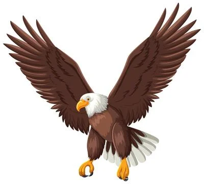 Majestic Bald Eagle in Flight Vector Illustration Stock Illustration