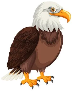 Majestic Bald Eagle Vector Illustration 스톡 일러스트