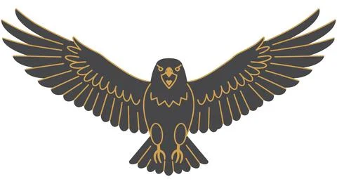 Majestic Black Eagle Soaring High Stock Illustration