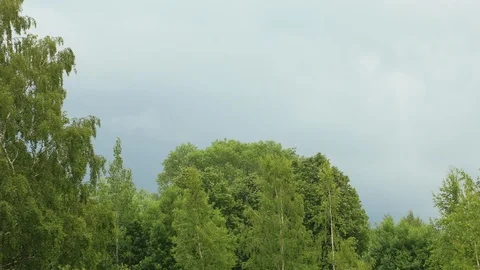 Majestic blue clouds and sky, and trees Stock Footage 123701177