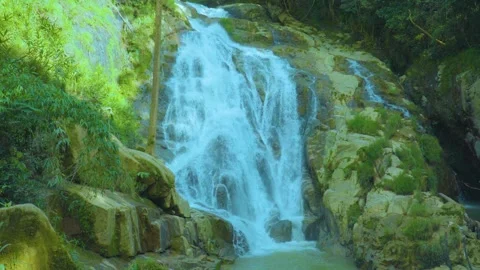 Majestic Cascade: A Waterfall Amidst Lush Wilderness Stock Footage 282080853
