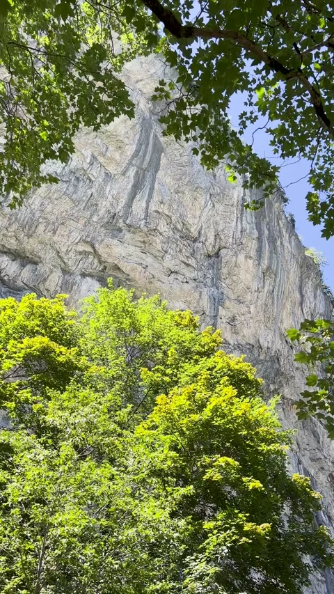 A Majestic Cliff That is Completely Surrounded by Lush and Vibrant Greenery All Stock Footage 304778178