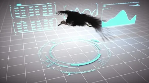 Majestic Eagle with Outstretched Wings Soars Over Futuristic Digital Grid, .. Stock-Footage 314067714