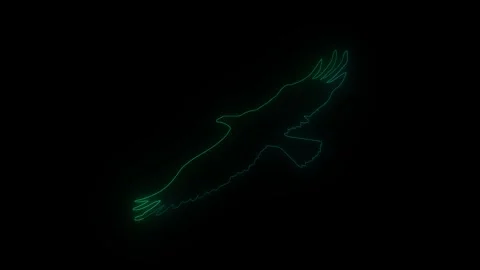 Majestic eagle silhouette soaring through the darkness with neon outline animati Stock Footage 319299332