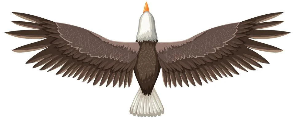 Majestic Eagle Soaring in Flight 스톡 일러스트