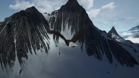Majestic Eagle Soaring Over Snow-Covered Mountain Peaks Stock Footage 339077933