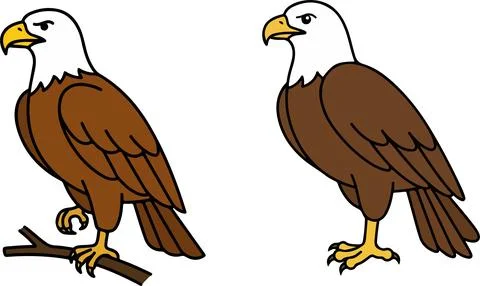 Majestic Eagle Vector Illustration - Powerful Bird of Prey Mascot Design Stock Illustration