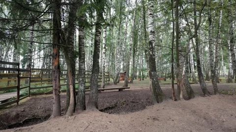 A Majestic Elks Gracefully Standing Behind a Fence in the Beautiful Nature 库存影片 290144053